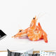 shrimps Wall Decal