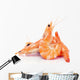 shrimps Wall Decal