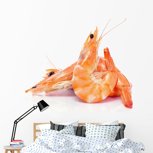 shrimps Wall Decal