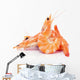 shrimps Wall Decal