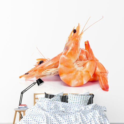 shrimps Wall Decal