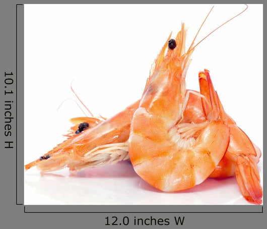 shrimps Wall Decal