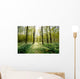 Forest Clearing Backlight