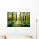 Forest Clearing Backlight