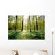 Forest Clearing Backlight