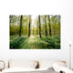 Forest Clearing Backlight