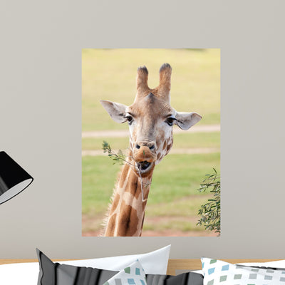 African Giraffe up Wall Mural shown on a wall