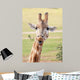 African Giraffe up Wall Mural
