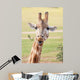 African Giraffe up Wall Mural