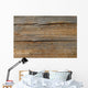Texture Wooden Boards Wall Mural
