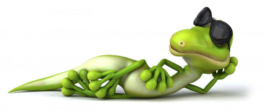 Lizard Wall Decal