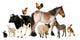 Farm Animals in Front of White Background Wall Decal
