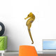Longsnout Seahorse or Slender Seahorse Wall Decal