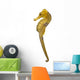 Longsnout Seahorse or Slender Seahorse Wall Decal