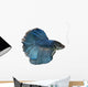 Siamese fighting fish Wall Decal
