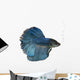 Siamese fighting fish Wall Decal
