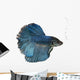 Siamese fighting fish Wall Decal