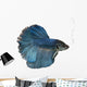 Siamese fighting fish Wall Decal