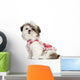 Shih Tzu puppy dressed up, 3 months old Wall Decal
