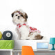 Shih Tzu puppy dressed up, 3 months old Wall Decal