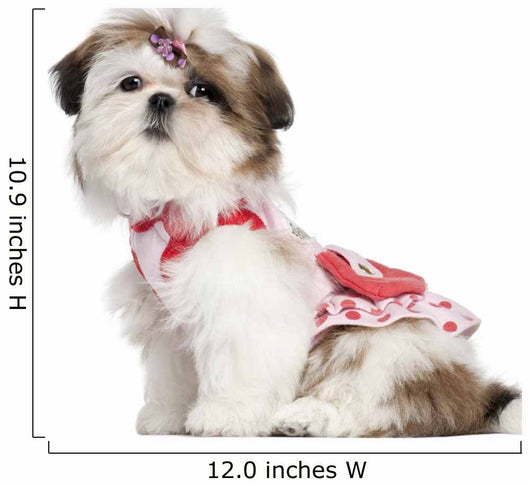Shih Tzu puppy dressed up, 3 months old Wall Decal