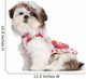 Shih Tzu puppy dressed up, 3 months old Wall Decal