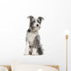 Mixed-breed Dog 7 Months