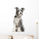 Mixed-breed Dog 7 Months