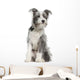 Mixed-breed Dog 7 Months