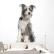 Mixed-breed Dog 7 Months