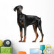 Doberman Pinscher Wall Decal