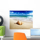 Seashell Beach Shallow Dof Wall Mural