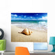 Seashell Beach Shallow Dof Wall Mural
