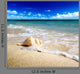 Seashell Beach Shallow Dof
