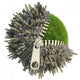 Environmental Change Concept