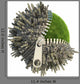Environmental Change Concept