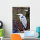 Grey Heron Quite Cosy Wall Mural
