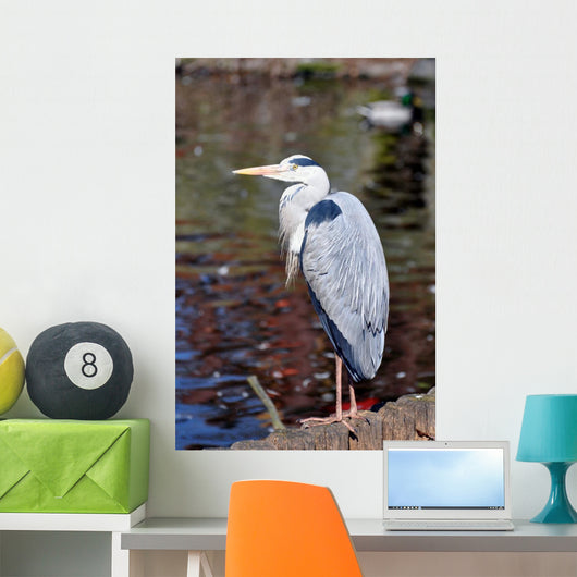 Grey Heron Quite Cosy Wall Mural