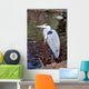 Grey Heron Quite Cosy Wall Mural