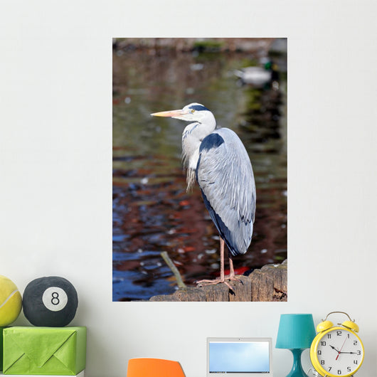 Grey Heron Quite Cosy Wall Mural