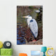 Grey Heron Quite Cosy Wall Mural