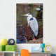 Grey Heron Quite Cosy Wall Mural