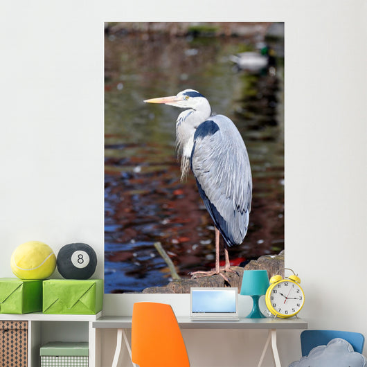 Grey Heron Quite Cosy Wall Mural