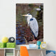 Grey Heron Quite Cosy Wall Mural
