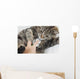 Cat With Vet Wall Mural