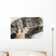 Cat With Vet Wall Mural
