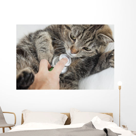 Cat With Vet Wall Mural