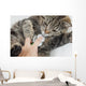 Cat With Vet Wall Mural