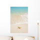 starfish on the beach Wall Mural