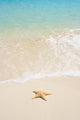 starfish on the beach Wall Mural
